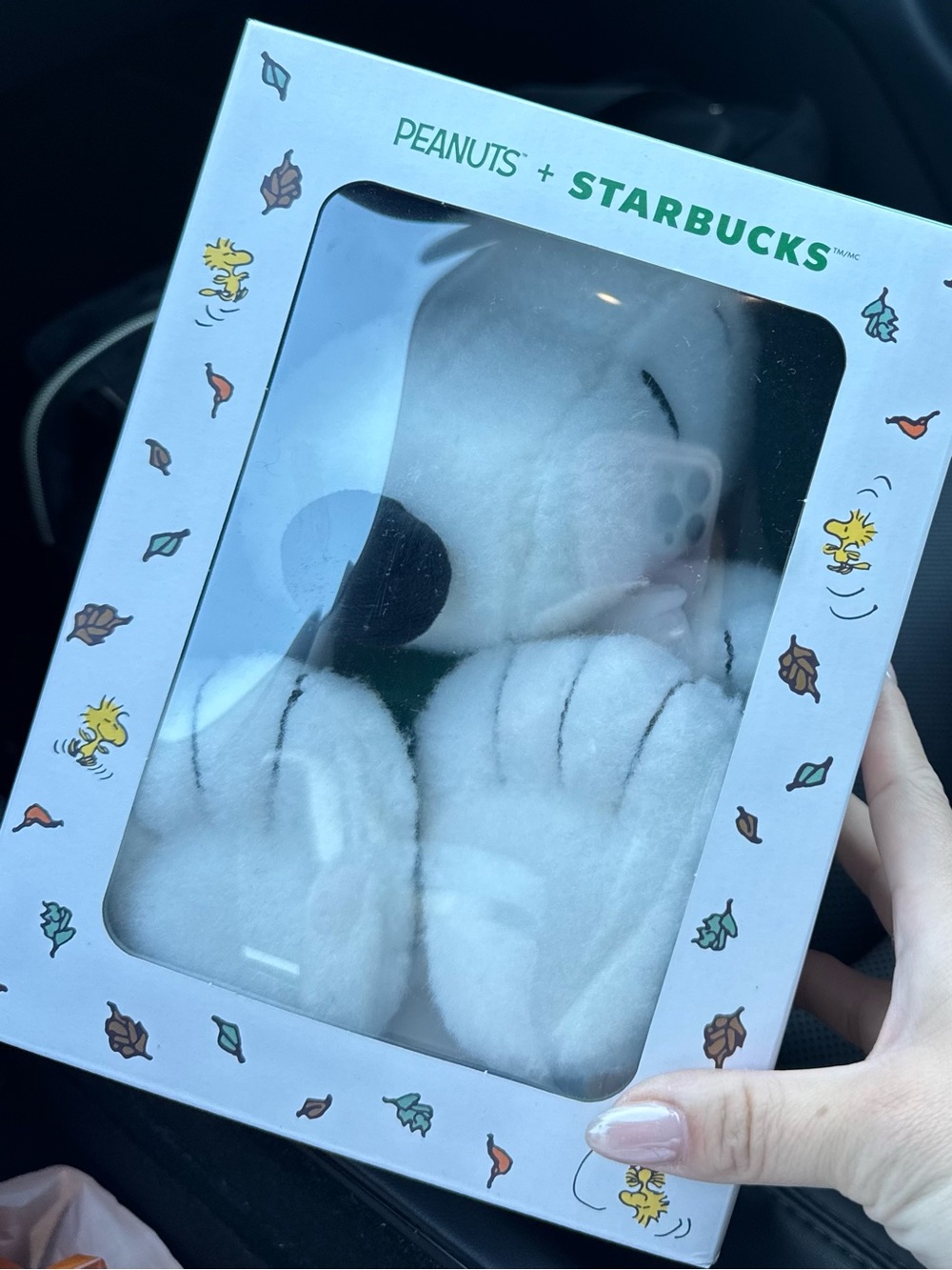 Peanuts x Starbucks Snoopy Plush!